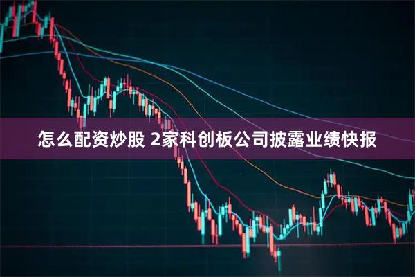 怎么配资炒股 2家科创板公司披露业绩快报